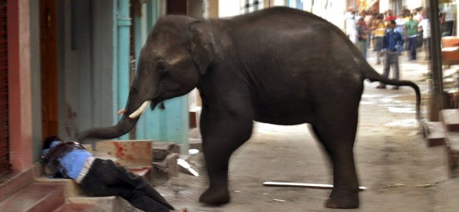 Sri Lanka'da filin saldırdığı Budist rahip öldü
