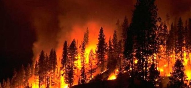 İspanya'da orman yangını... 2 binden fazla kişi evini terk etmek zorunda kaldı