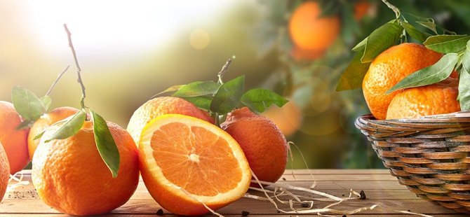 Portakal yemek, bunama riskini azaltıyor