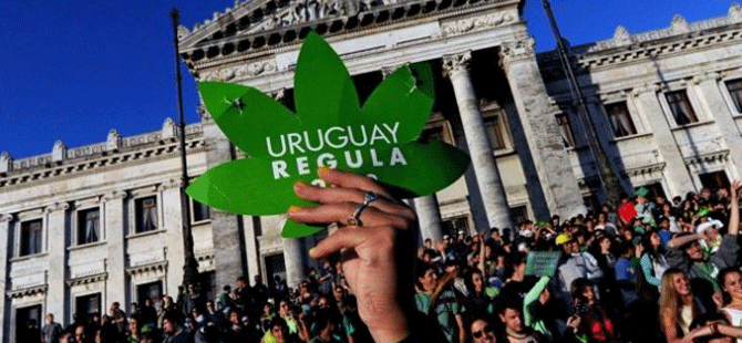 Uruguay'da eczanelerde yasal marihuana satışı başladı