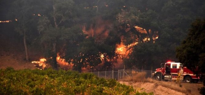 California'daki yangınlarda ölü sayısı 31'e çıktı