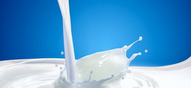 Süt Ürünleri İmalatçıları Birliği çiğ süte zammı eleştirdi