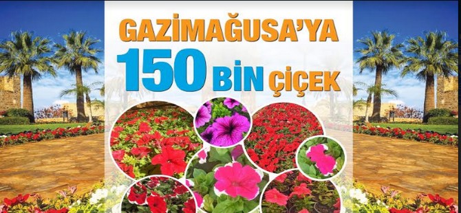 Gazimağusa Belediyesi, halka ücretsiz olarak çiçek dağıtıyor