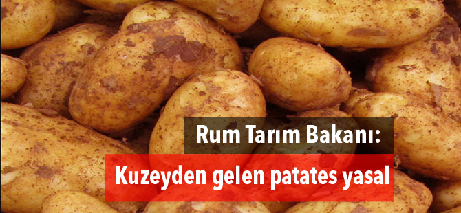 Rum Tarım Bakanı:Kuzeyden gelen patates yasal