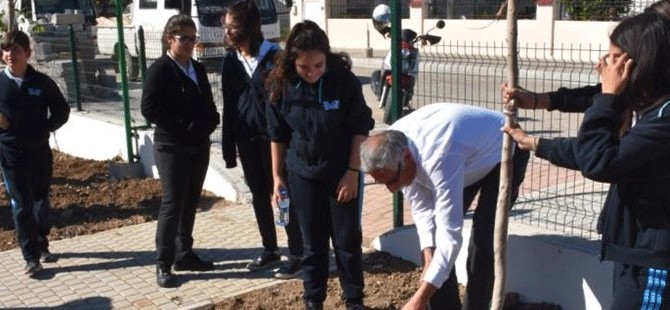 Girne Belediyesi’nin ağaçlandırma çalışmaları sürüyor