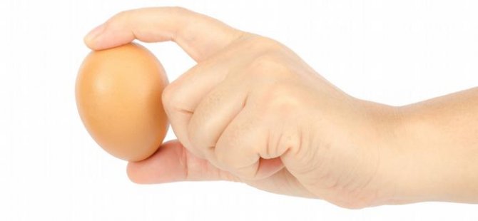 Günde bir yumurta kalbi korur mu?