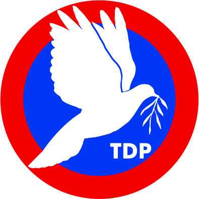 TDP Anayasa Oylamasına ‘Hayır’ Diyecek