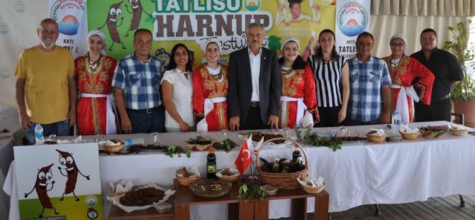 Tatlısu Harnup Festivali Başlıyor