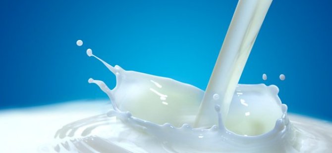 Süt Bedelleri ödendi 12 milyon TL hesaplara yatırıldı