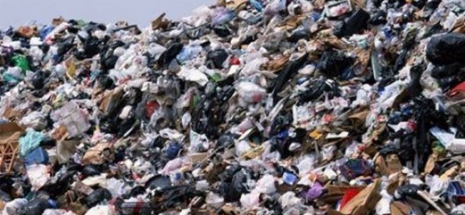 İslamabad çöplüğünde plastik yiyen mantar keşfedildi
