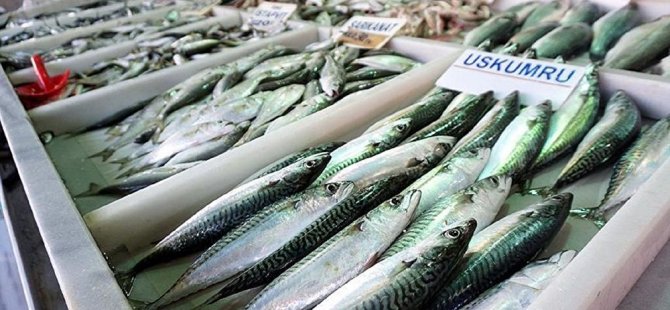 Doğu Akdeniz'den avlanan 16 balık türünde yüksek düzeyde arsenik tespit edildi!