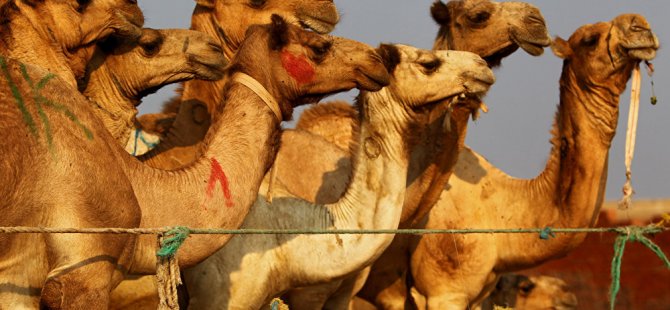 Suudi Arabistan'da develere estetik cerrahi ve botoks işlemleri cezalandırılmaya başlandı