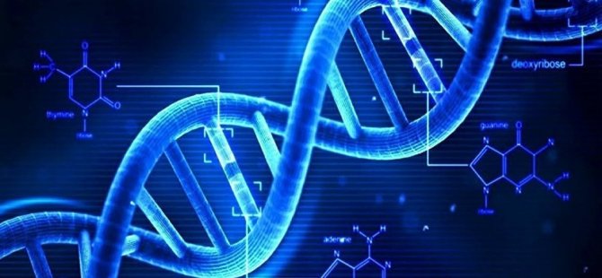 DNA'nız yaşam sürenizi belirliyor