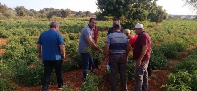 Tarım Dairesi eğitim çalışmalarına Yeşilırmak ile devam edecek