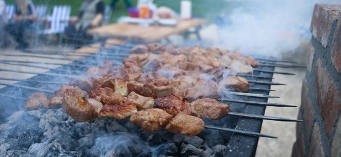 Mangal yakayım derken tüm bahçeyi yaktı (Video)