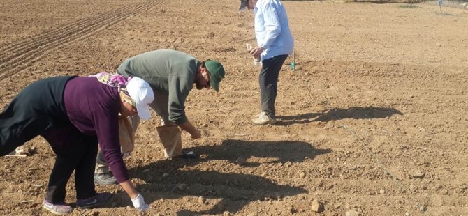 Bilinçsiz tarım verimi düşürüyor