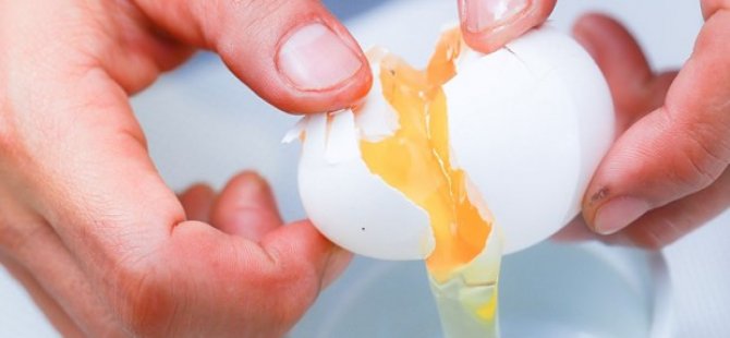 Türkiye menşeli 81 ton çürük yumurta