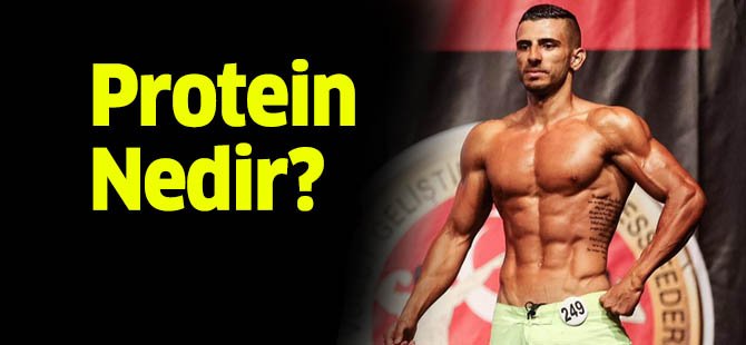 Protein nedir protein ne işe yarar?