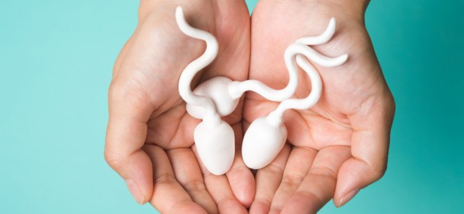 “Sperm sayısı son 30 yılda yüzde 39 azaldı”