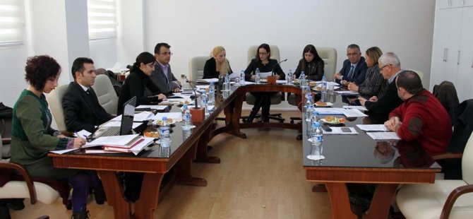Meclis siyasi işler ve dışilişkiler komitesi iki tasarıyı görüştü