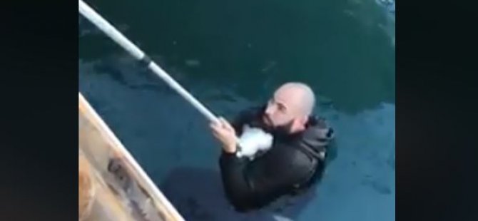 Girne'de; denize düşen kediyi,suya atlayıp kurtardı (video)
