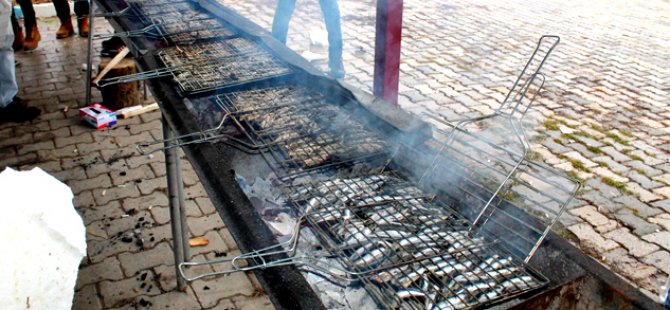 Hamsi festivali Pazar günü