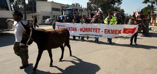 2015 Eylemlerle Başlıyor