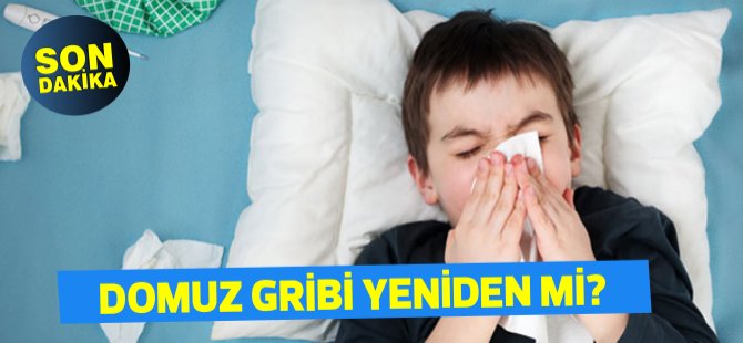 Güneyde 6 ciddi A gribi vakası