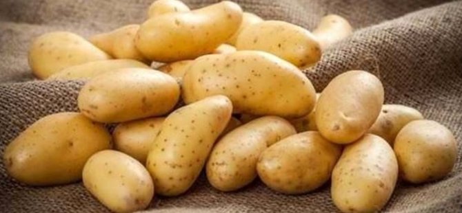 Patates ekimi yapılan arazilerin bildirimi için yarın son gün