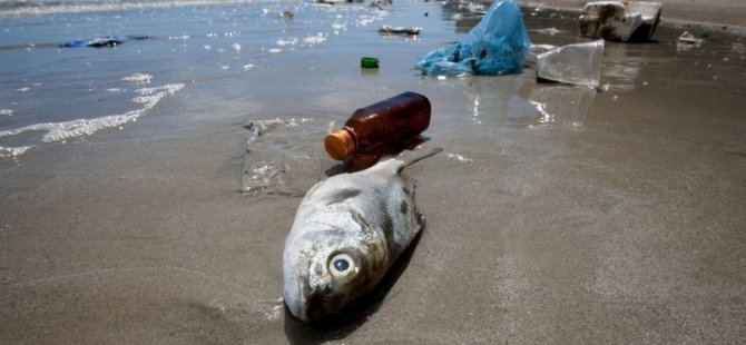 Okyanuslarda 2050'de balıktan çok plastik atık olacak