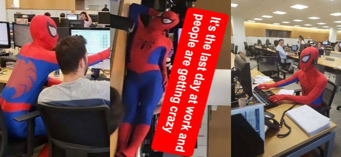 Patronunu çıldırtmak için bankadaki işine Örümcek Adam kıyafetiyle gitti (video-haber)