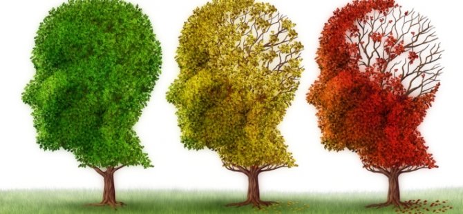 Beyaz ışık Alzheimer'a çare olabilir mi?