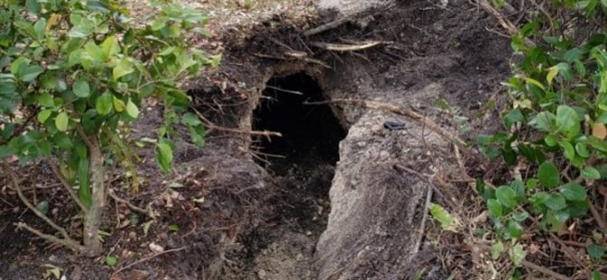 FBI açıkladı:Banka soygunu için 50 metre tünel kazmışlar (foto haber)