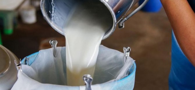Süt Ürünleri İmalatcıları Birliği süt zammını eleştirdi