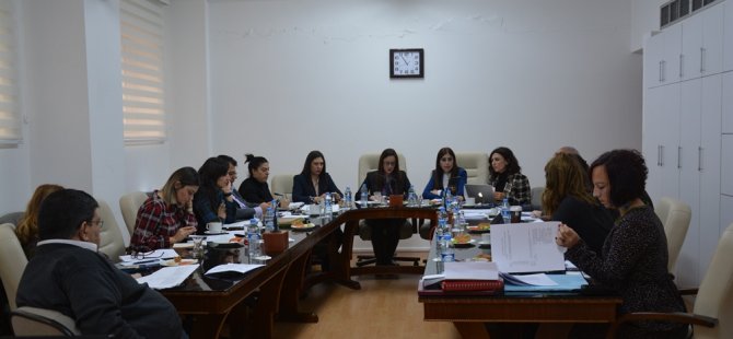 Meclis hukuk, siyasi işler ve dışilişkiler komitesi toplandı