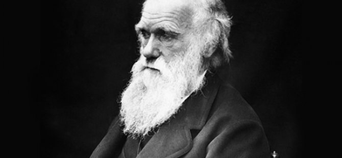 Memleketi İngiltere'de Darwin'e sansür