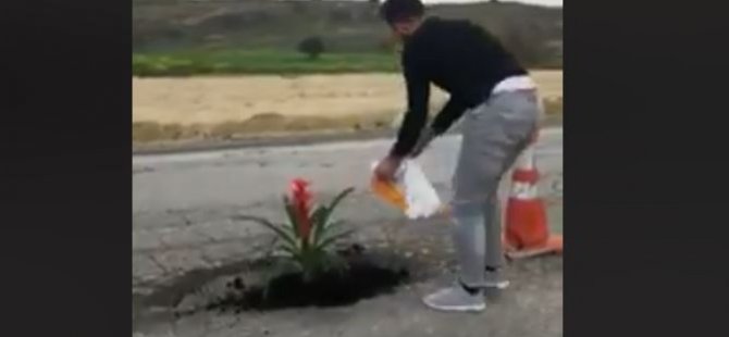 Karpaz yolundaki çukura çiçek ekti! ''Umarım dikkat çekmiştir'' (video)