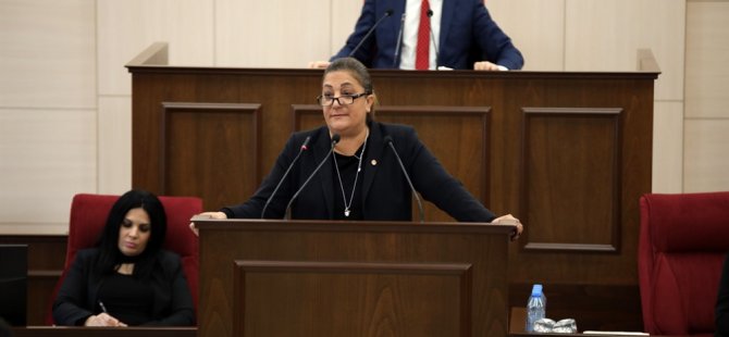 “Uluslararası toplumun Kıbrıs’a gönderdiği katkıların Rumlar tarafından kullanılması sorgulanmalı”