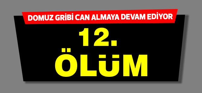 Güney Kıbrıs'ta  domuz gribi alarmı