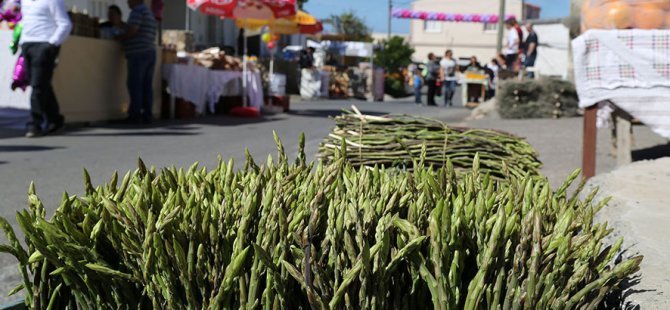 Yeniboğaziçi Belediyesi ve Slow Food Salamis, ayrelli günü düzenliyor