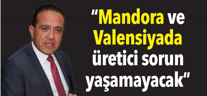 “Mandora ve Valensiyada üretici sorun yaşamayacak”