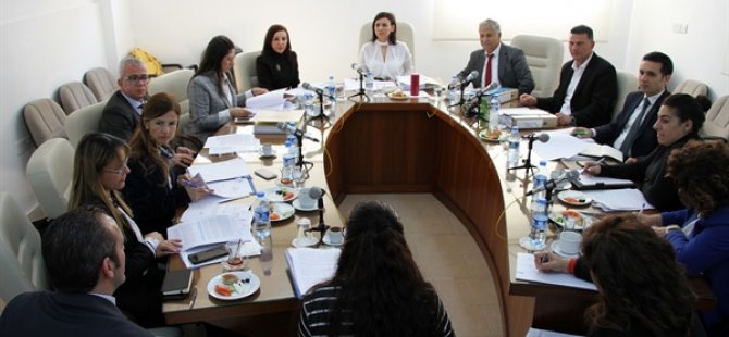 Cumhuriyet Meclisi dilekçe ve ombudsman komitesi toplandı