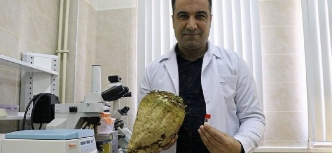 Erciyes Üniversitesi 'milli ve yerli' bakteri üretti