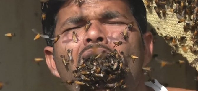 Arılara fısıldayan adam: Peteklere kafasını sokup, arıları ağzına alıyor (Video)