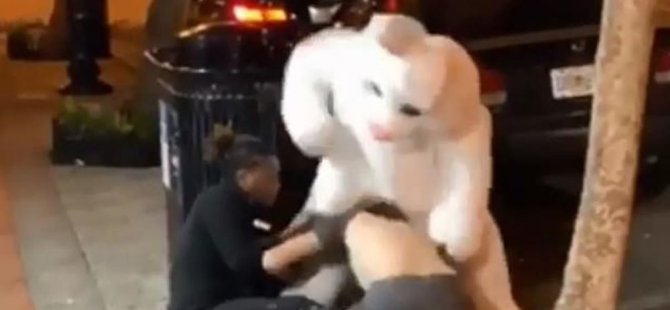 Sokakta bir kadının yumruklandığını gören 'Paskalya tavşanı'  olaya anında müdahale etti (Video)