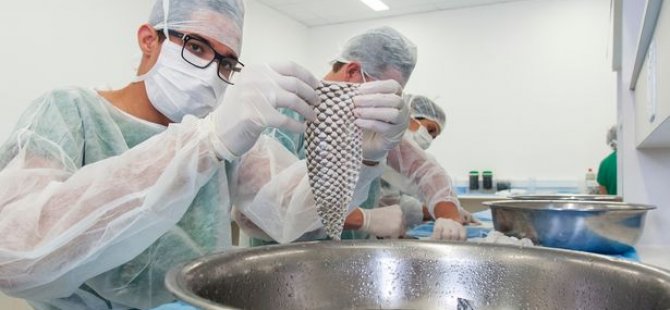 Cinsiyet değiştirerek kadın olan Brezilyalıya balık derisinden vajina nakledildi