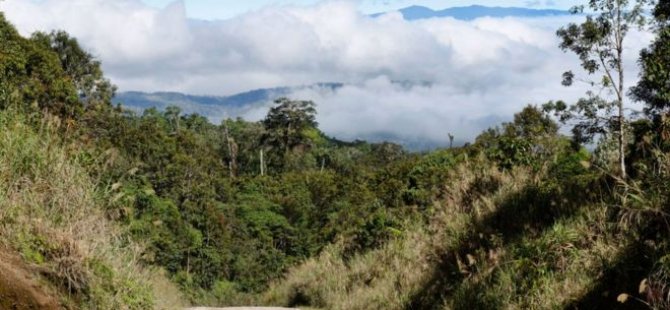 Papua Yeni Gine'de kabile katliamı: Onlarca kadın ve çocuk öldürüldü