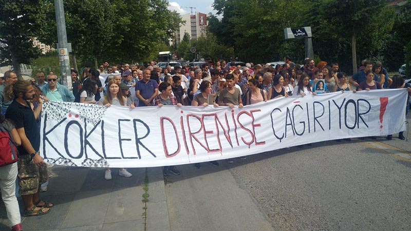 ODTÜ’lüler KYK yurduna karşı Kavaklık’a yürüdü, fidan dikti: "AKP elini ODTÜ’den çek"