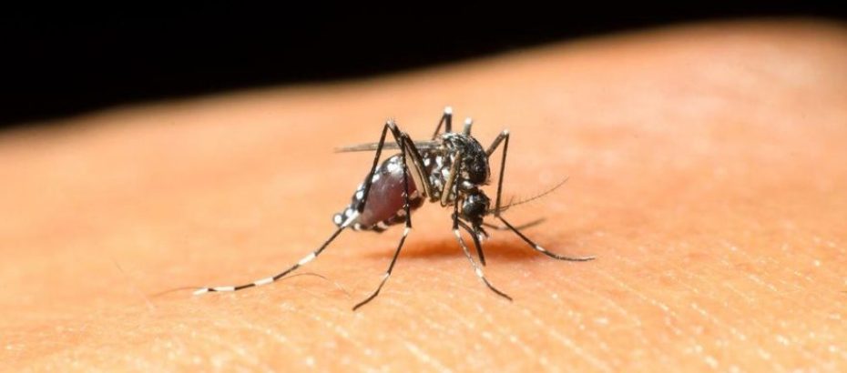 Sağlık Bakanlığı Batı Nil Virüsü ile ilgili açıklama yaptı