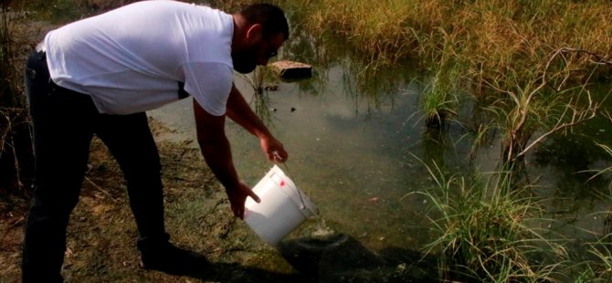 Gazimağusa Belediyesi sivrisineklerle mücadele amacıyla Çanakkale Göleti'ne balık bıraktı
